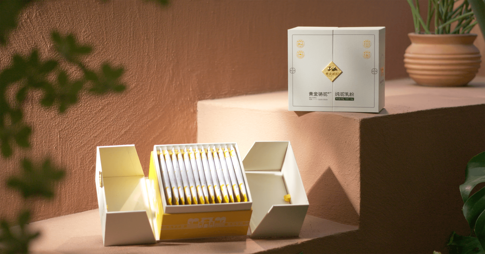 定位小众高端乳粉，太阳成集团tyc151cc推出驼奶品牌“黄金骆驼+”，角逐乳品新市场！