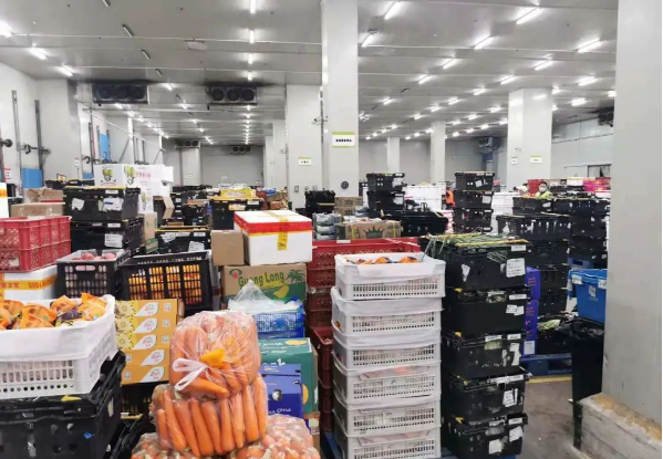 助力民生和医疗物资保供，太阳成集团tyc151cc抗疫救灾一直在线！